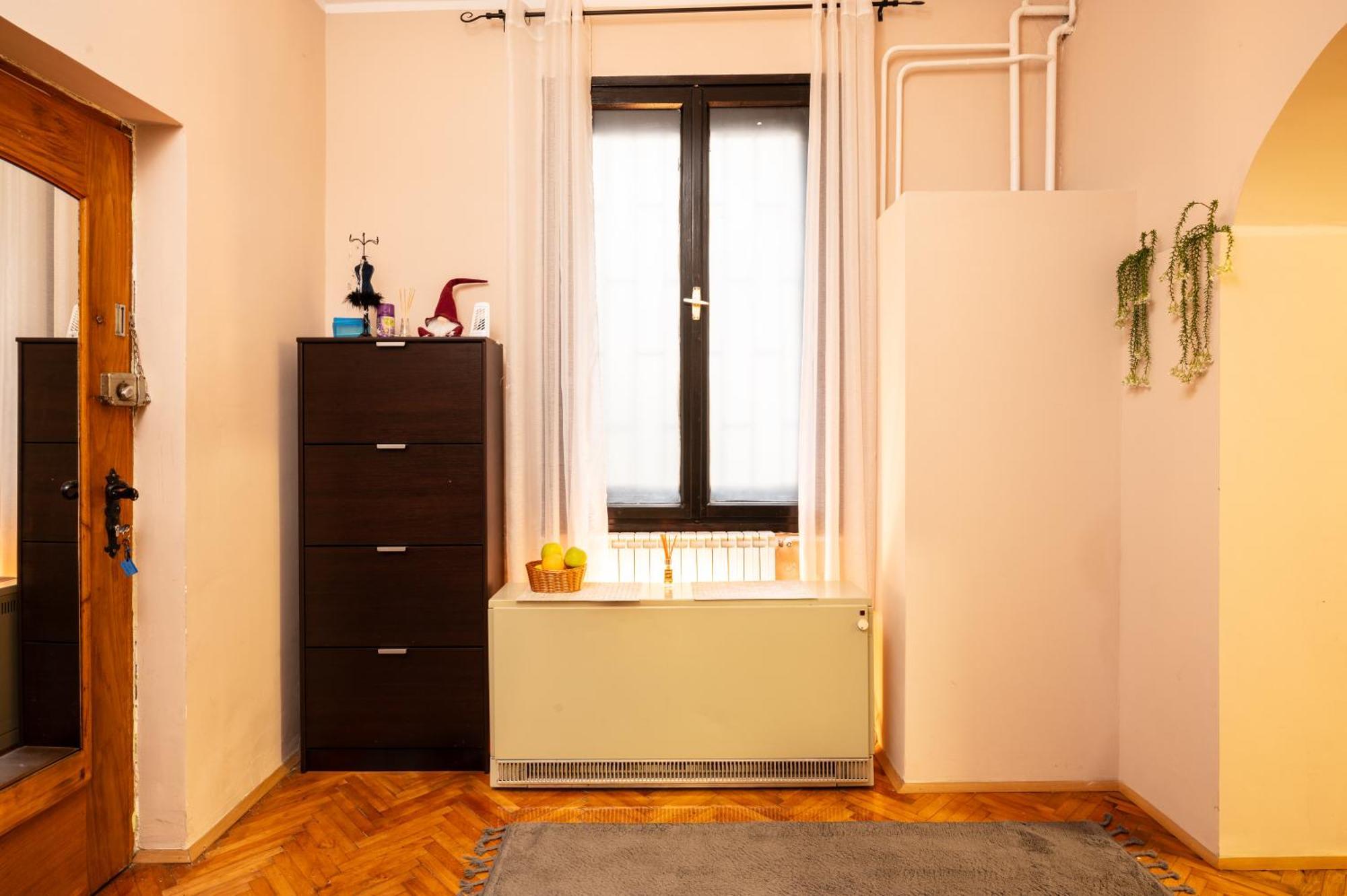 בלגרד Cozy Apartment In City Center מראה חיצוני תמונה